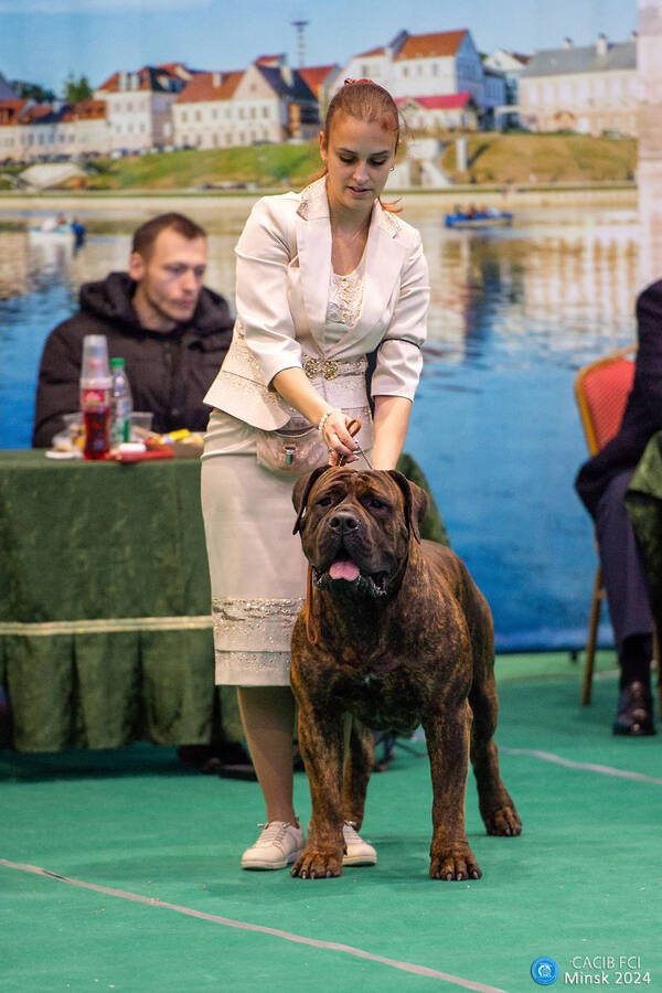 https://upforme.ru/uploads/0014/0b/48/438/t836866.jpg