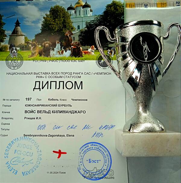 https://upforme.ru/uploads/0014/0b/48/438/t875165.jpg