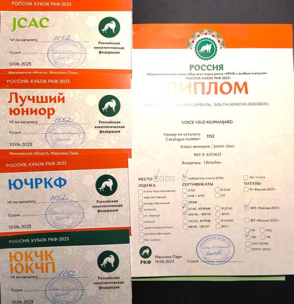https://upforme.ru/uploads/0014/0b/48/438/t886099.jpg