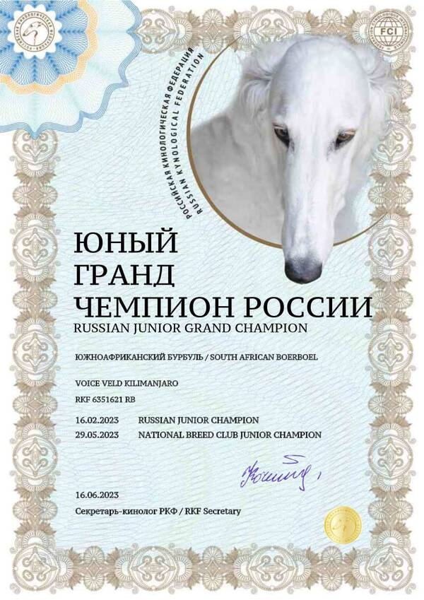 https://upforme.ru/uploads/0014/0b/48/438/t91395.jpg