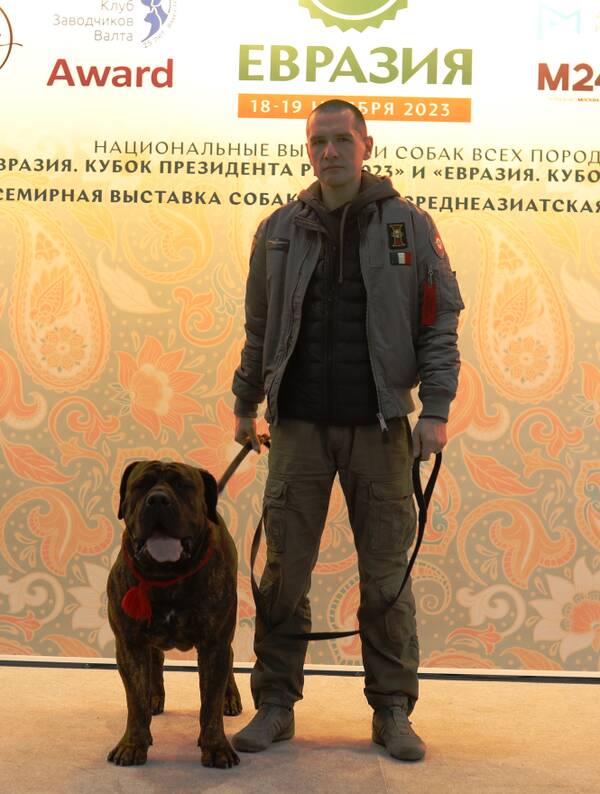 https://upforme.ru/uploads/0014/0b/48/438/t934889.jpg