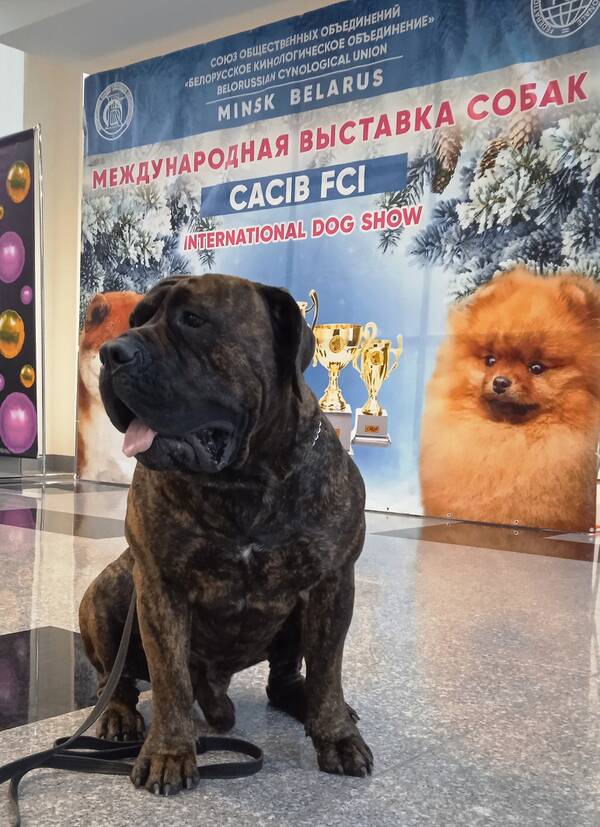 https://upforme.ru/uploads/0014/0b/48/438/t94156.jpg