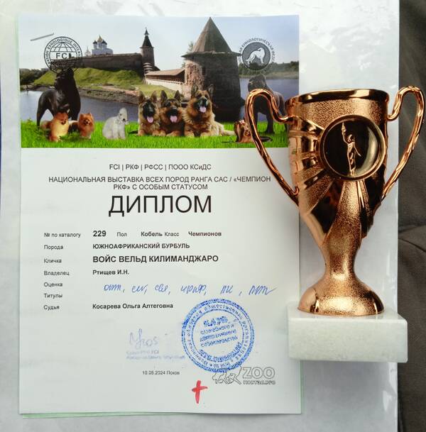 https://upforme.ru/uploads/0014/0b/48/438/t95081.jpg