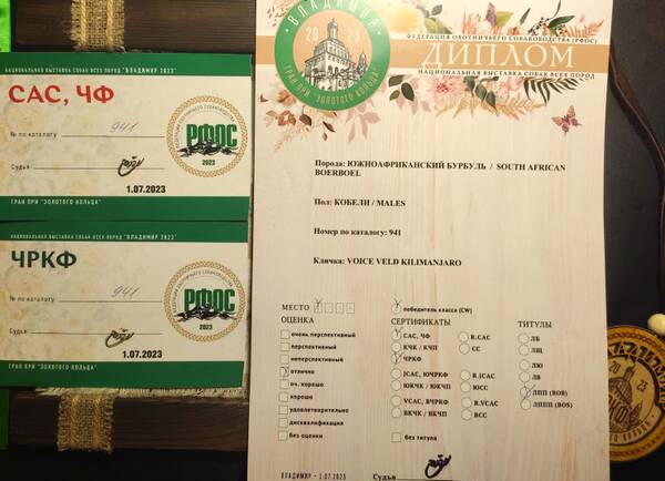 https://upforme.ru/uploads/0014/0b/48/438/t954518.jpg