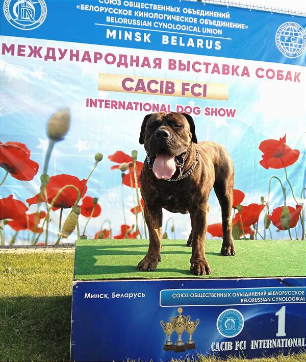https://upforme.ru/uploads/0014/0b/48/438/t96084.jpg