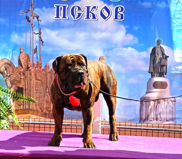https://upforme.ru/uploads/0014/0b/48/438/t987117.jpg