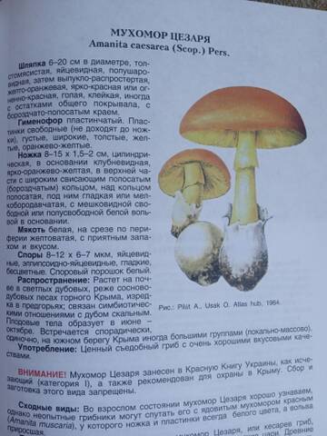 https://upforme.ru/uploads/0014/0c/bd/10/t770298.jpg