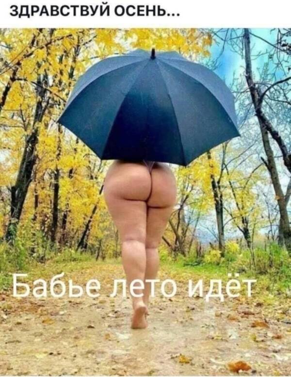 https://upforme.ru/uploads/0014/0c/bd/28/t550487.jpg