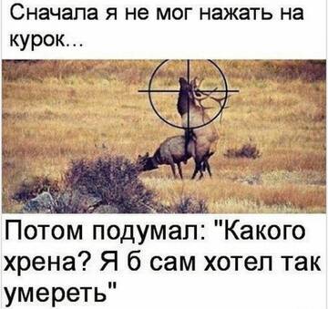 https://upforme.ru/uploads/0014/0c/bd/5/t315576.jpg