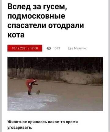 https://upforme.ru/uploads/0014/0c/bd/516/t959050.jpg