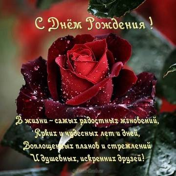 https://upforme.ru/uploads/0014/11/ca/281/t934552.jpg
