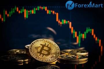 https://upforme.ru/uploads/0014/14/57/1228/t715610.jpg