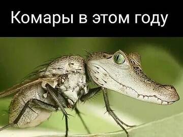 https://upforme.ru/uploads/0014/14/57/2048/t119373.jpg