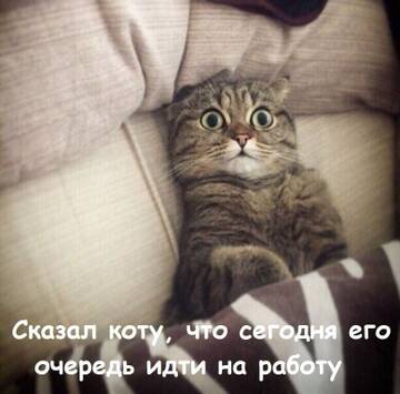 https://upforme.ru/uploads/0014/14/57/2048/t125617.jpg
