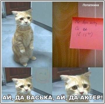 https://upforme.ru/uploads/0014/14/57/2048/t150038.jpg