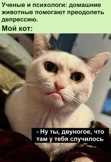 https://upforme.ru/uploads/0014/14/57/2048/t150180.jpg