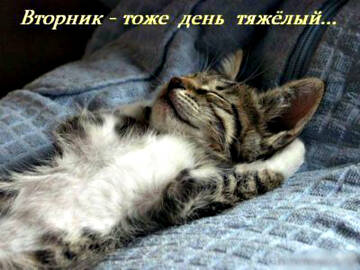 https://upforme.ru/uploads/0014/14/57/2048/t15862.jpg