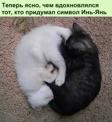 https://upforme.ru/uploads/0014/14/57/2048/t16117.jpg