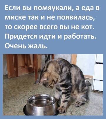https://upforme.ru/uploads/0014/14/57/2048/t175264.jpg