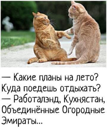 https://upforme.ru/uploads/0014/14/57/2048/t227884.jpg