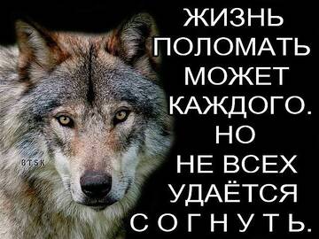 https://upforme.ru/uploads/0014/14/57/2048/t256035.jpg