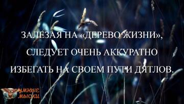 https://upforme.ru/uploads/0014/14/57/2048/t263946.jpg