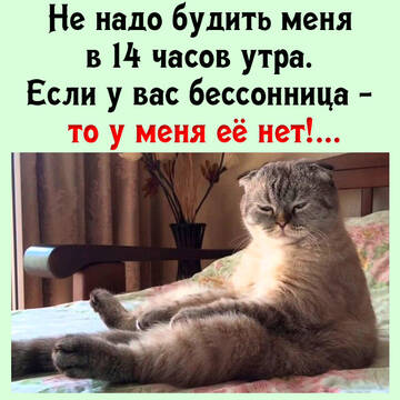 https://upforme.ru/uploads/0014/14/57/2048/t264021.jpg