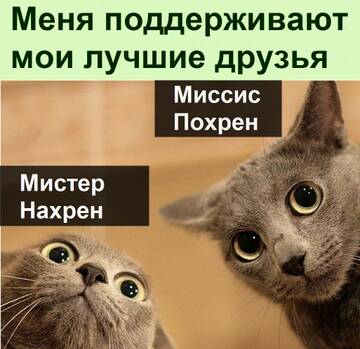 https://upforme.ru/uploads/0014/14/57/2048/t282460.jpg