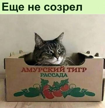 https://upforme.ru/uploads/0014/14/57/2048/t28303.jpg