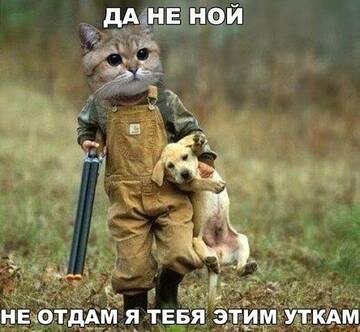 https://upforme.ru/uploads/0014/14/57/2048/t288633.jpg