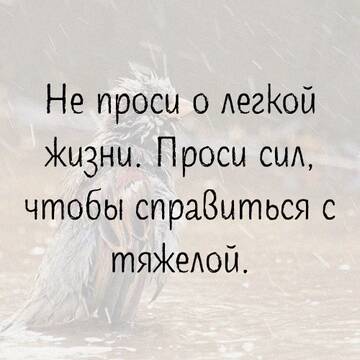 https://upforme.ru/uploads/0014/14/57/2048/t299361.jpg