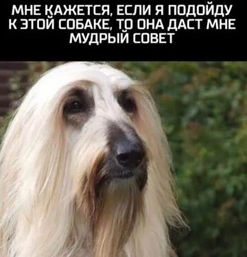 https://upforme.ru/uploads/0014/14/57/2048/t318468.png
