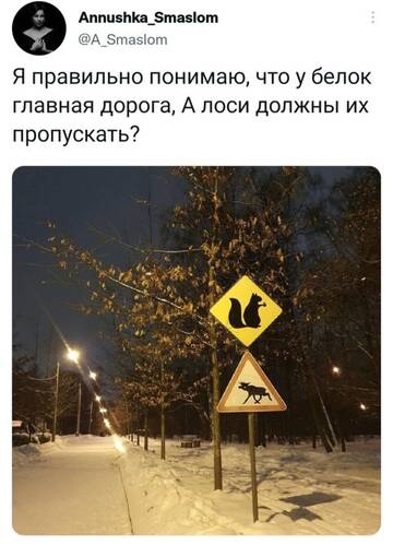 https://upforme.ru/uploads/0014/14/57/2048/t324571.jpg