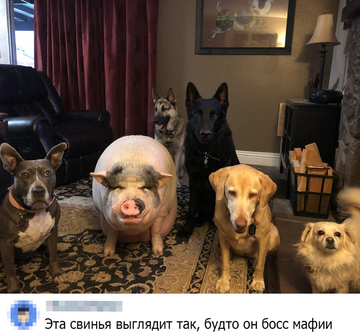 https://upforme.ru/uploads/0014/14/57/2048/t33399.png