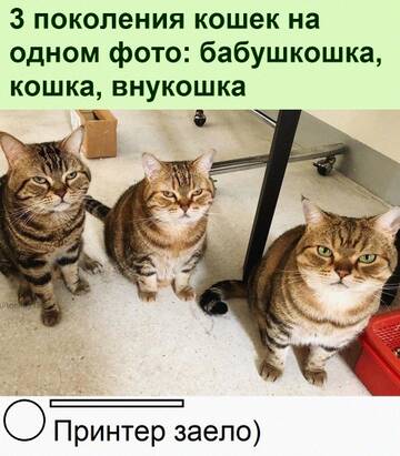 https://upforme.ru/uploads/0014/14/57/2048/t338503.jpg