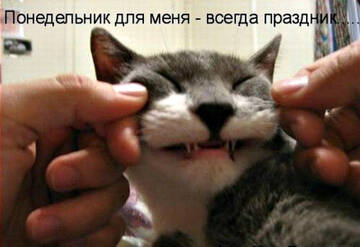 https://upforme.ru/uploads/0014/14/57/2048/t343165.jpg
