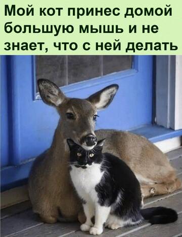 https://upforme.ru/uploads/0014/14/57/2048/t362843.jpg