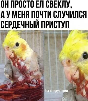 https://upforme.ru/uploads/0014/14/57/2048/t374060.jpg
