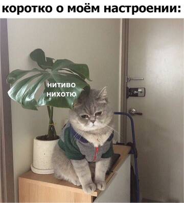 https://upforme.ru/uploads/0014/14/57/2048/t378960.jpg