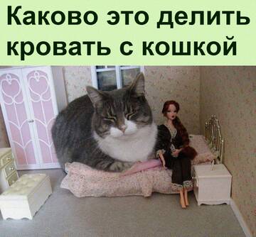 https://upforme.ru/uploads/0014/14/57/2048/t379053.jpg