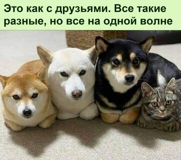 https://upforme.ru/uploads/0014/14/57/2048/t384591.jpg