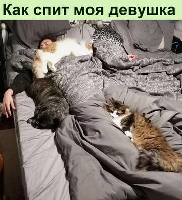 https://upforme.ru/uploads/0014/14/57/2048/t385777.jpg