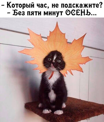 https://upforme.ru/uploads/0014/14/57/2048/t387542.jpg