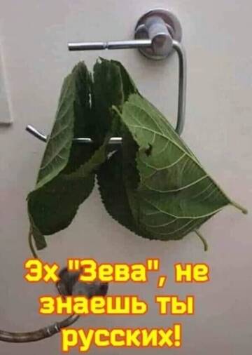 https://upforme.ru/uploads/0014/14/57/2048/t402443.jpg