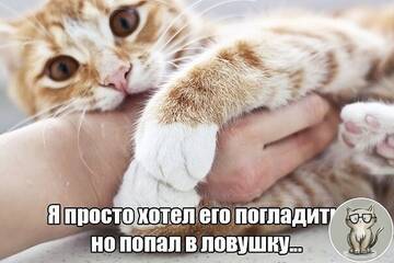 https://upforme.ru/uploads/0014/14/57/2048/t413639.jpg