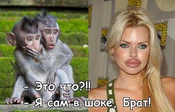 https://upforme.ru/uploads/0014/14/57/2048/t434540.jpg