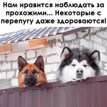 https://upforme.ru/uploads/0014/14/57/2048/t43755.jpg