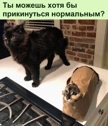 https://upforme.ru/uploads/0014/14/57/2048/t482122.jpg
