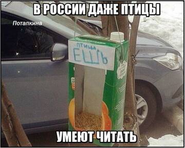https://upforme.ru/uploads/0014/14/57/2048/t498783.jpg