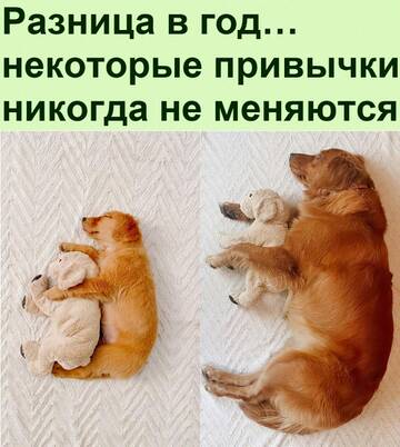 https://upforme.ru/uploads/0014/14/57/2048/t509649.jpg